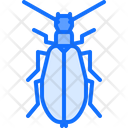 پیش‌نمایش فایل beetle-5923604 از پک سوسک‌ها