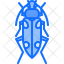 پیش‌نمایش فایل beetle-5923605 از پک سوسک‌ها