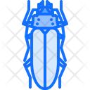 پیش‌نمایش فایل beetle-5923607 از پک سوسک‌ها