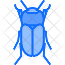 پیش‌نمایش فایل beetle-5923611 از پک سوسک‌ها