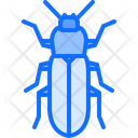 پیش‌نمایش فایل beetle-5923612 از پک سوسک‌ها