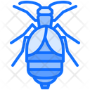پیش‌نمایش فایل beetle-5923613 از پک سوسک‌ها