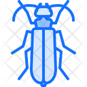 پیش‌نمایش فایل beetle-5923614 از پک سوسک‌ها