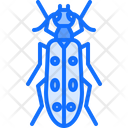 پیش‌نمایش فایل beetle-5923615 از پک سوسک‌ها
