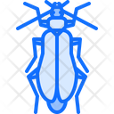 پیش‌نمایش فایل beetle-5923616 از پک سوسک‌ها