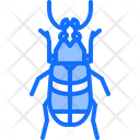 پیش‌نمایش فایل beetle-5923622 از پک سوسک‌ها