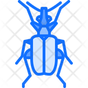 پیش‌نمایش فایل beetle-5923623 از پک سوسک‌ها