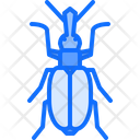 پیش‌نمایش فایل beetle-5923626 از پک سوسک‌ها