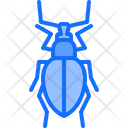 پیش‌نمایش فایل beetle-5923633 از پک سوسک‌ها