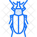 پیش‌نمایش فایل beetle-5923634 از پک سوسک‌ها
