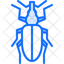پیش‌نمایش فایل beetle-5923635 از پک سوسک‌ها