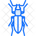 پیش‌نمایش فایل beetle-5923636 از پک سوسک‌ها