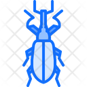 پیش‌نمایش فایل beetle-5923637 از پک سوسک‌ها
