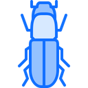 پیش‌نمایش فایل beetle-5923642 از پک سوسک‌ها