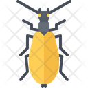 پیش‌نمایش فایل beetle-5923653 از پک سوسک‌ها