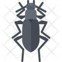 پیش‌نمایش فایل beetle-5923659 از پک سوسک‌ها