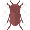 پیش‌نمایش فایل beetle-5923660 از پک سوسک‌ها