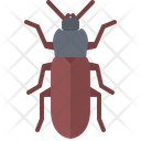 پیش‌نمایش فایل beetle-5923661 از پک سوسک‌ها