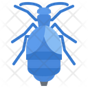 پیش‌نمایش فایل beetle-5923662 از پک سوسک‌ها