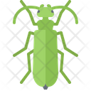 پیش‌نمایش فایل beetle-5923663 از پک سوسک‌ها