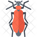 پیش‌نمایش فایل beetle-5923665 از پک سوسک‌ها