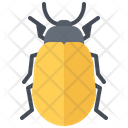 پیش‌نمایش فایل beetle-5923667 از پک سوسک‌ها