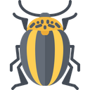 پیش‌نمایش فایل beetle-5923668 از پک سوسک‌ها