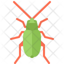 پیش‌نمایش فایل beetle-5923670 از پک سوسک‌ها