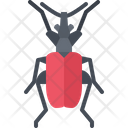 پیش‌نمایش فایل beetle-5923672 از پک سوسک‌ها