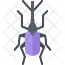 پیش‌نمایش فایل beetle-5923673 از پک سوسک‌ها