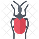 پیش‌نمایش فایل beetle-5923674 از پک سوسک‌ها