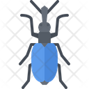 پیش‌نمایش فایل beetle-5923675 از پک سوسک‌ها