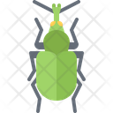 پیش‌نمایش فایل beetle-5923676 از پک سوسک‌ها