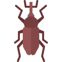 پیش‌نمایش فایل beetle-5923679 از پک سوسک‌ها