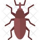 پیش‌نمایش فایل beetle-5923680 از پک سوسک‌ها