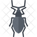 پیش‌نمایش فایل beetle-5923682 از پک سوسک‌ها