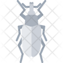 پیش‌نمایش فایل beetle-5923683 از پک سوسک‌ها