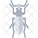 پیش‌نمایش فایل beetle-5923685 از پک سوسک‌ها