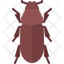 پیش‌نمایش فایل beetle-5923688 از پک سوسک‌ها