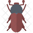 پیش‌نمایش فایل beetle-5923692 از پک سوسک‌ها