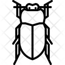 پیش‌نمایش فایل cicada-5923519 از پک سوسک‌ها