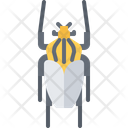 پیش‌نمایش فایل beetle-5923458 از پک سوسک‌ها