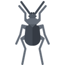 پیش‌نمایش فایل beetle-5923459 از پک سوسک‌ها