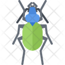 پیش‌نمایش فایل beetle-5923461 از پک سوسک‌ها