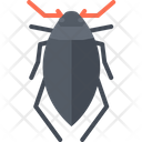 پیش‌نمایش فایل beetle-5923464 از پک سوسک‌ها
