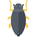 پیش‌نمایش فایل beetle-5923465 از پک سوسک‌ها