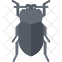 پیش‌نمایش فایل beetle-5923467 از پک سوسک‌ها
