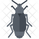 پیش‌نمایش فایل beetle-5923468 از پک سوسک‌ها