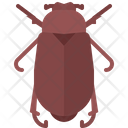 پیش‌نمایش فایل beetle-5923470 از پک سوسک‌ها