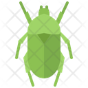 پیش‌نمایش فایل beetle-5923473 از پک سوسک‌ها